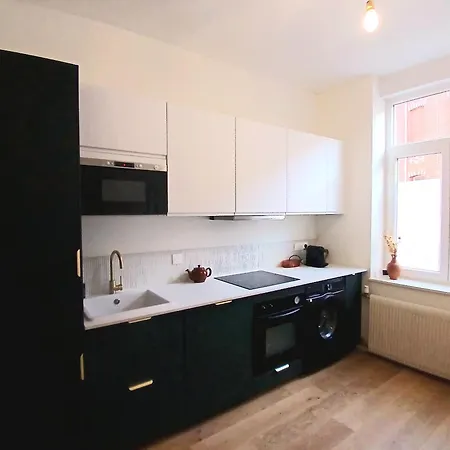 Holiday home Large House 11 People 4 Bedrooms With Outdoor Near Lille Center *