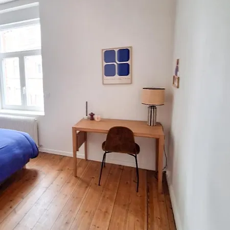 Large House 11 People 4 Bedrooms With Outdoor Near Lille Center Semesterbostad La Madeleine (Nord)